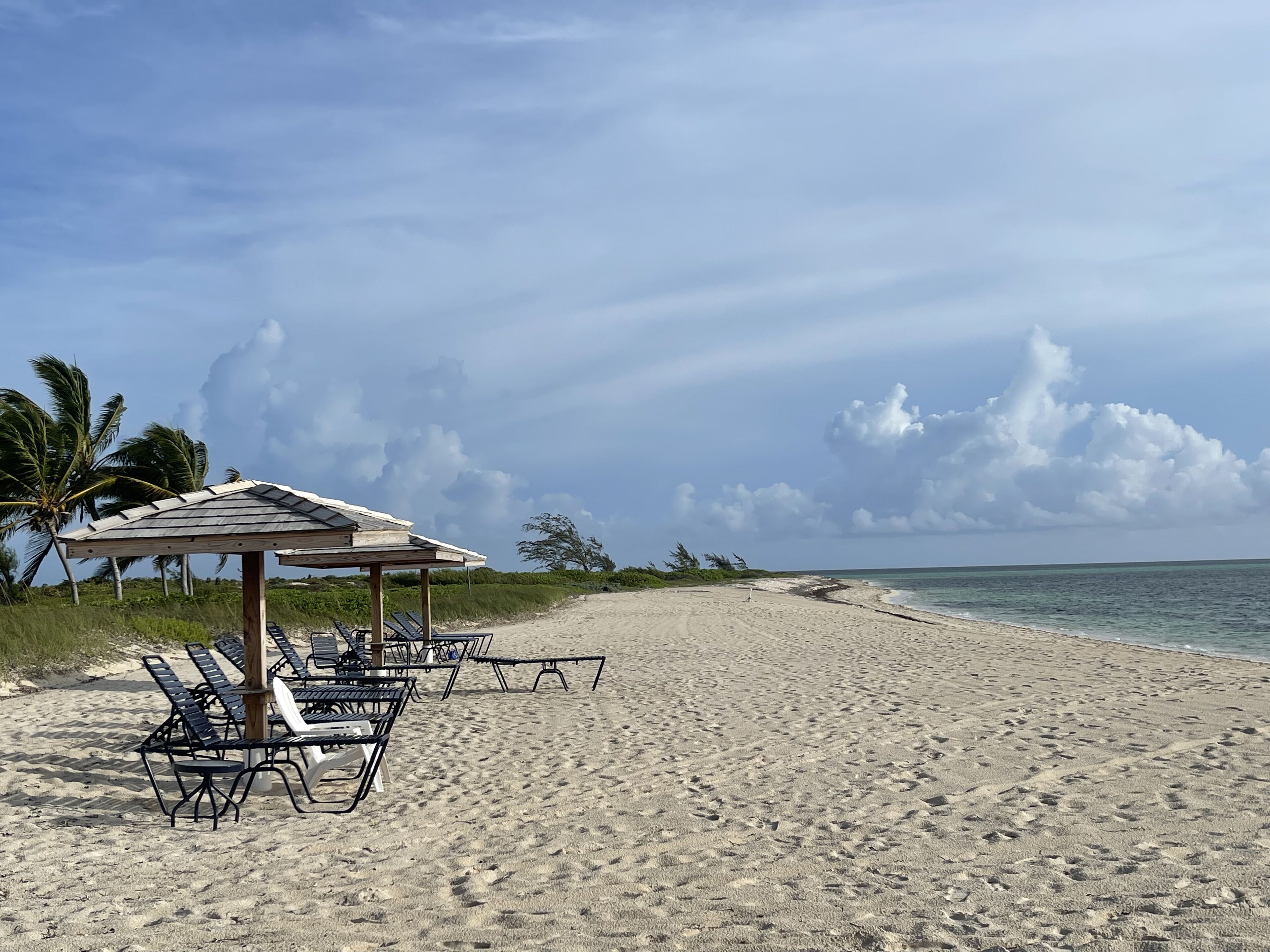 On the beach, sun loungers, beach towels