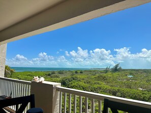 Property grounds - Seas the Day TCI covered balcony, patio dining, gated entrance, on site security (Bluehills)