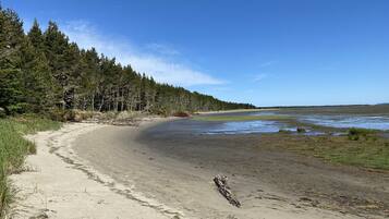 Plage, chaises longues, serviettes de plage