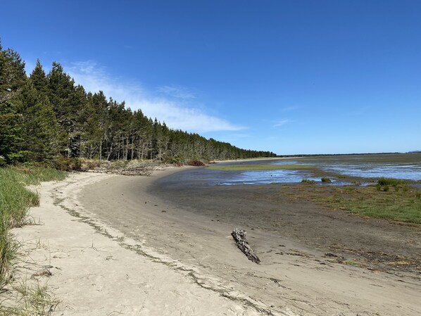 On the beach, sun-loungers, beach towels - Short walk to BEACH ● 3 bedrooms w/TVs ● 2 KING beds ● Dogs OK ● Fireplace (Long Beach)