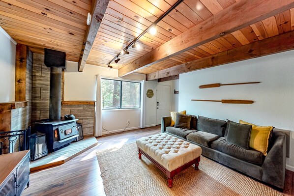 TV, DVD player, video library