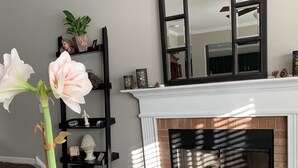 A living room with a fireplace, a mirror, a potted plant, and a fluffy rug. - Idyllic Country Living (Geneva)