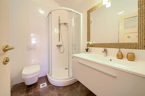 A modern bathroom with a glass-enclosed shower, a toilet, and a vanity with a mirror. - Villa San Vito with pool (Sveti Vid - Miholjice)