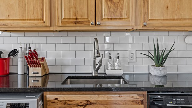 Una cocina con armarios de madera, un lavamanos de acero inoxidable y una planta en maceta.