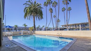A swimming pool with lounge chairs and umbrellas, surrounded by palm trees and a building in the background.