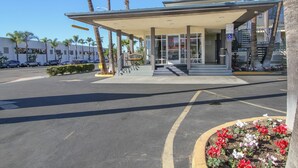 A modern building with a covered entrance, palm trees, and a parking lot.