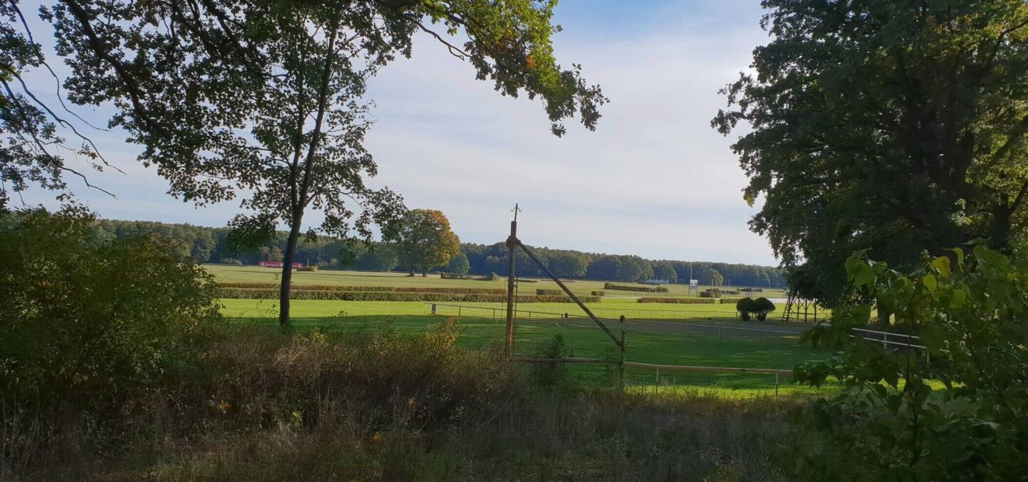 A rural landscape with fields, trees, and a windmill.