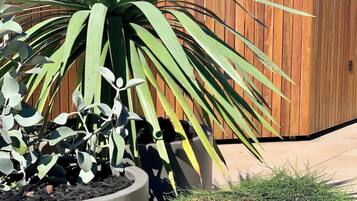 Details aan de buitenkant