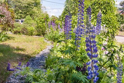 Annapolis Suite HotTub, KingBd, Downtown