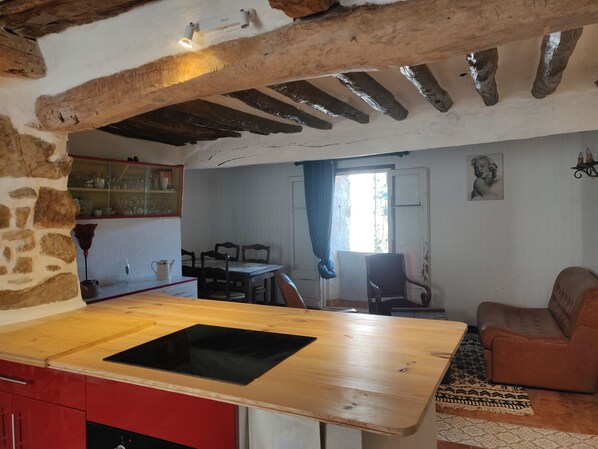 Interior - Village house in the heart of the wild Corbières (Villata) (Padern)