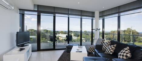 Smart TV, DVD player