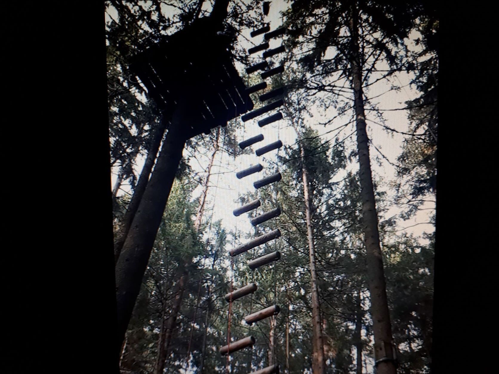 A wooden climbing structure in a forest.