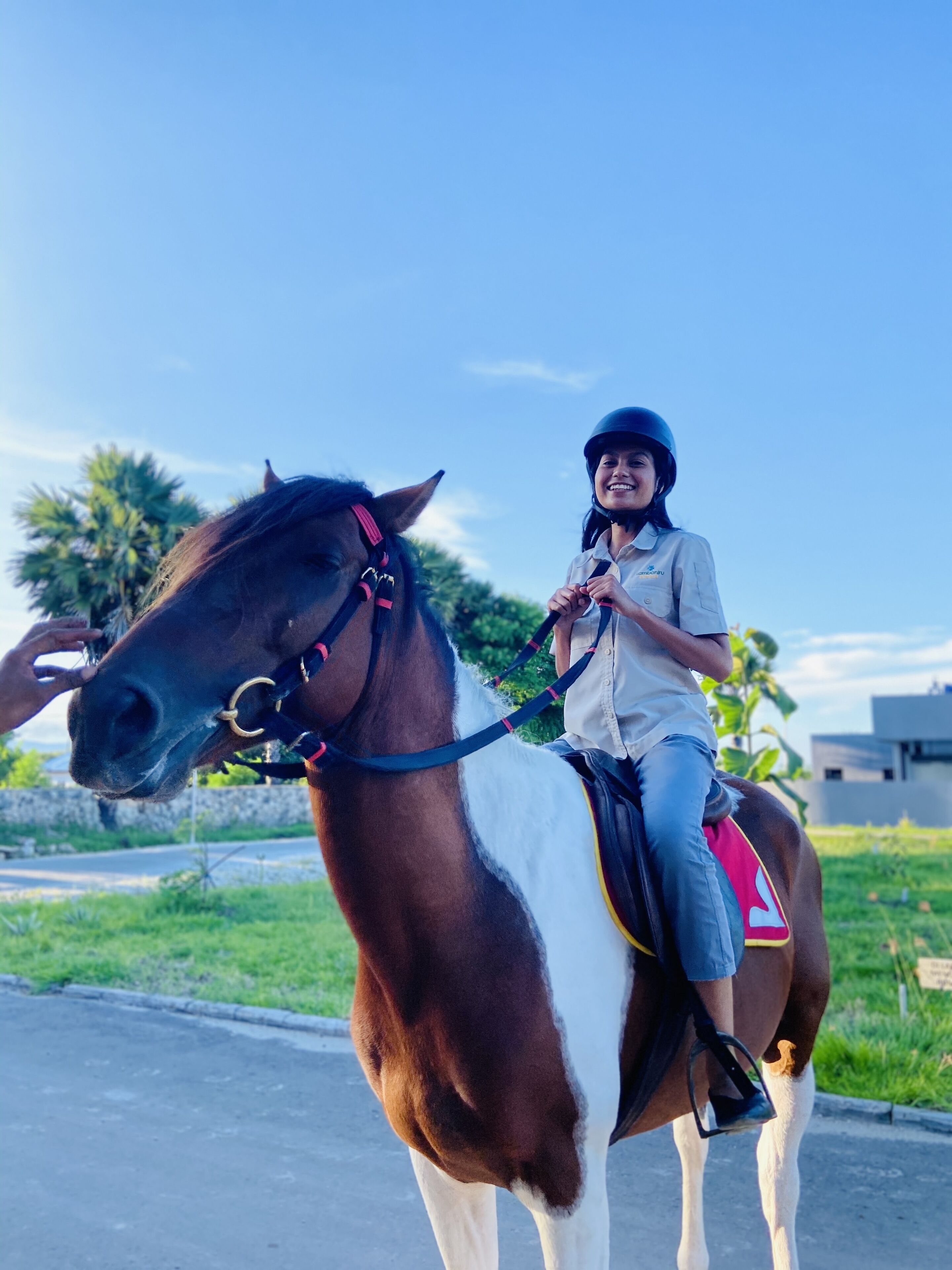 Una persona montando a caballo por un camino pavimentado, con follaje en el fondo.