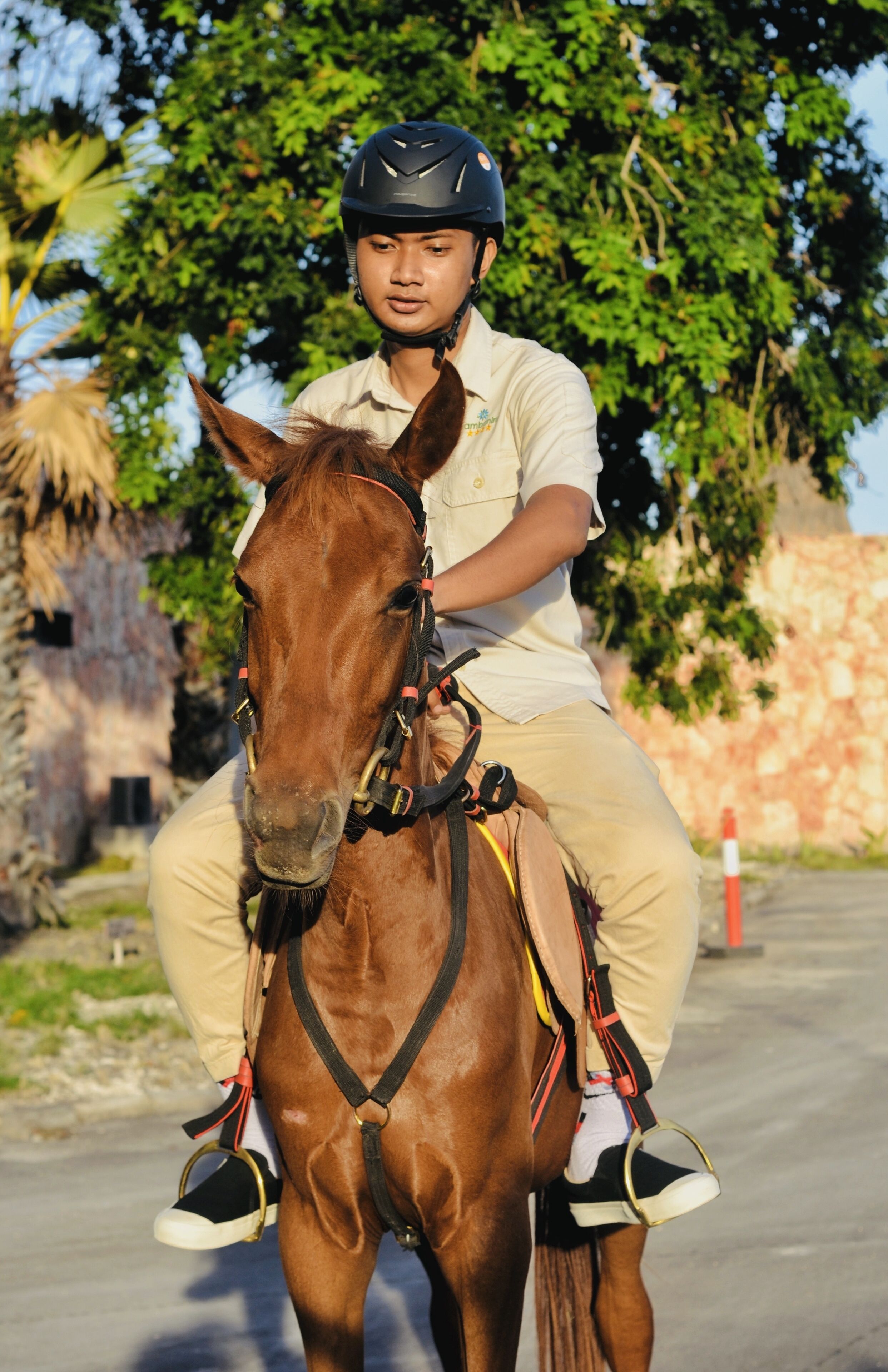 A person riding a horse.