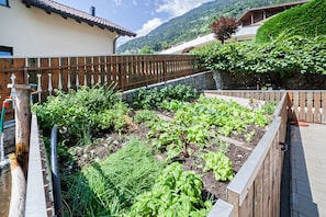 A vegetable garden with raised beds, a wooden fence, and a stone wall.