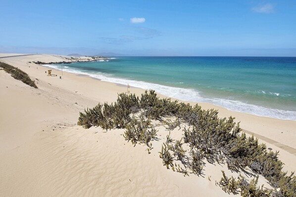 Playa en los alrededores 