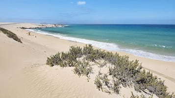 Vlak bij het strand