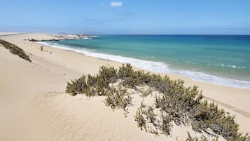 Playa en los alrededores