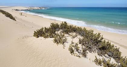 Studio Apartment Betty C in Central Location & with Wi-Fi