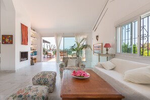 TV, fireplace, ping pong