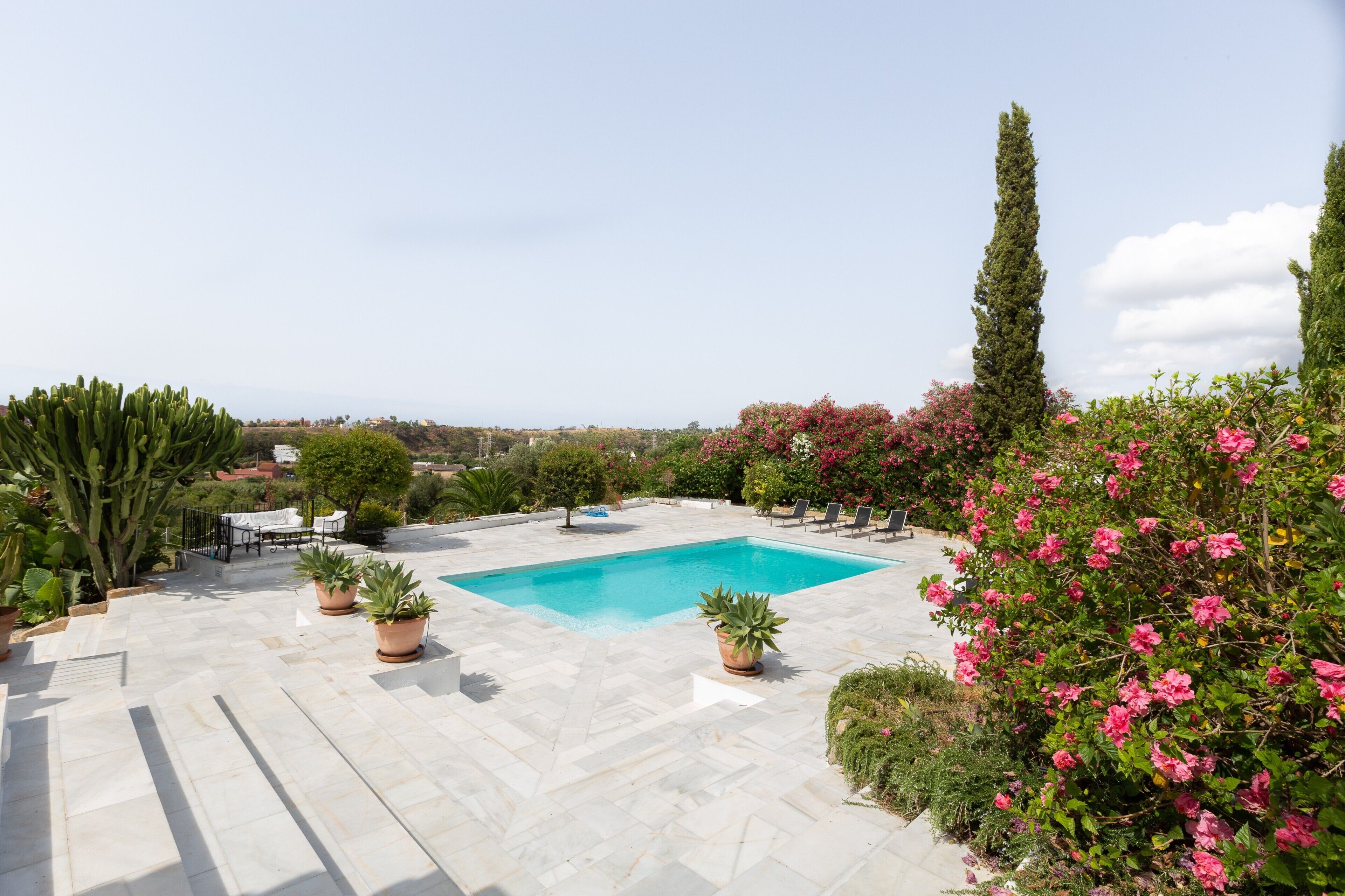 A swimming pool surrounded by potted plants and trees.