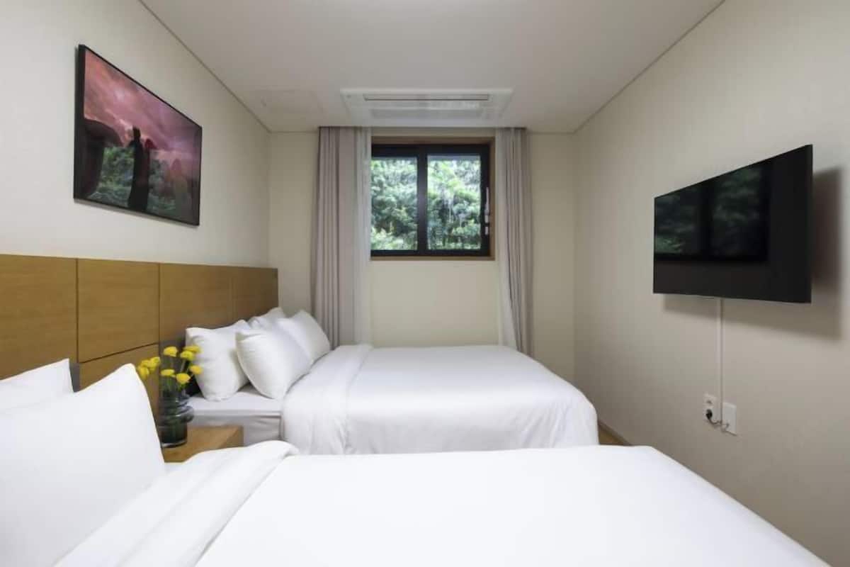 In-room safe, desk, blackout curtains, soundproofing