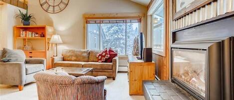 Télévision, cheminée, lecteur de DVD, espaces bureaux