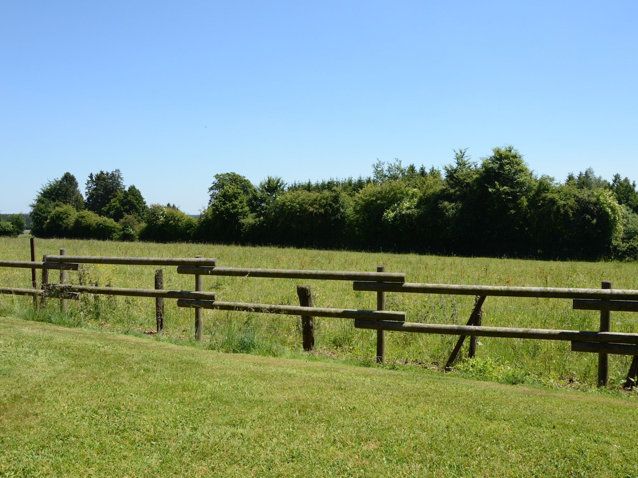 A grassy field with a wooden fence.