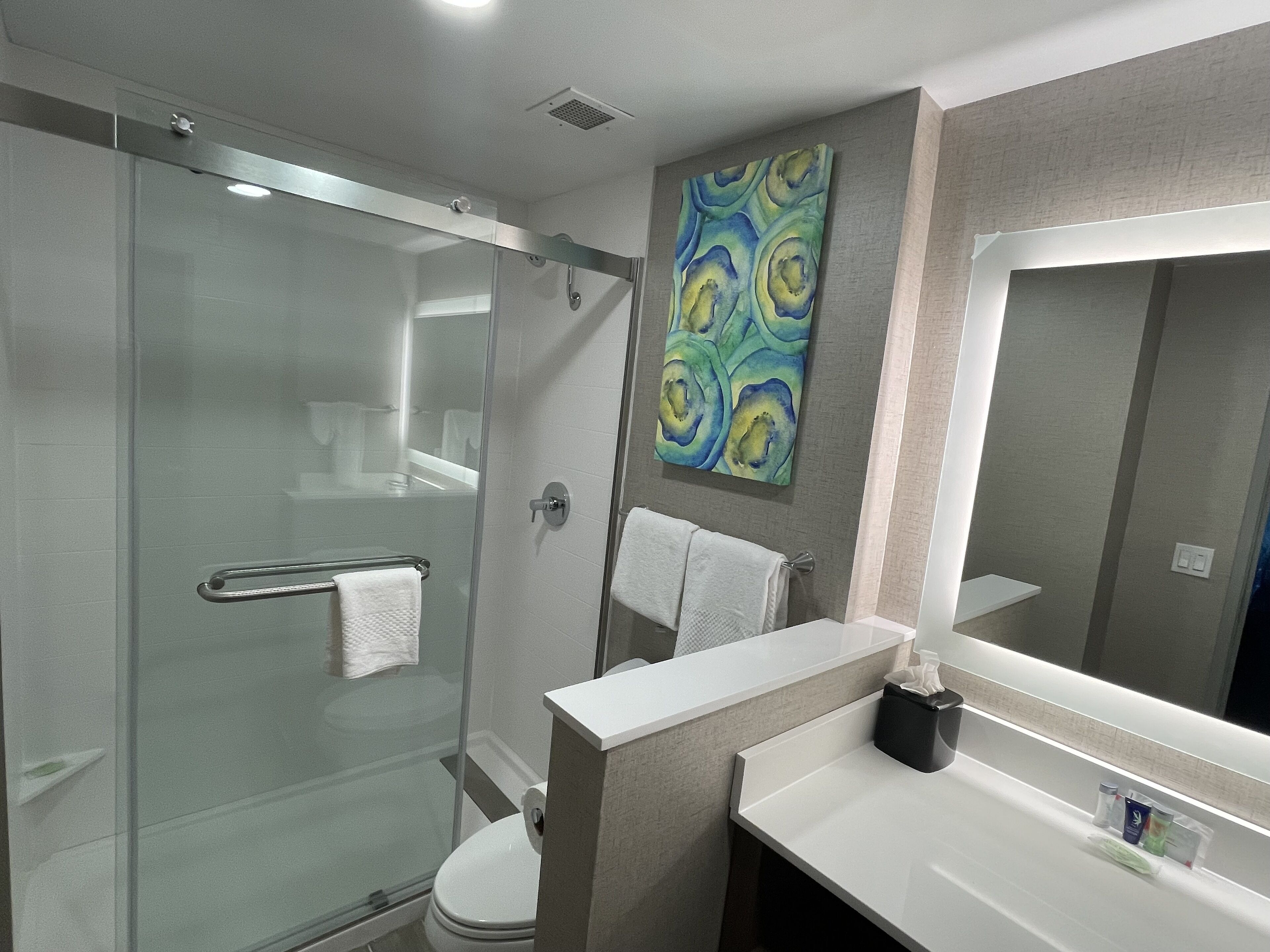 Foto - MainStay Suites Oakbrook Terrace - Chicago