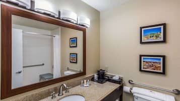 A bathroom with a large mirror, sink, towel rack, and two framed pictures on the wall.