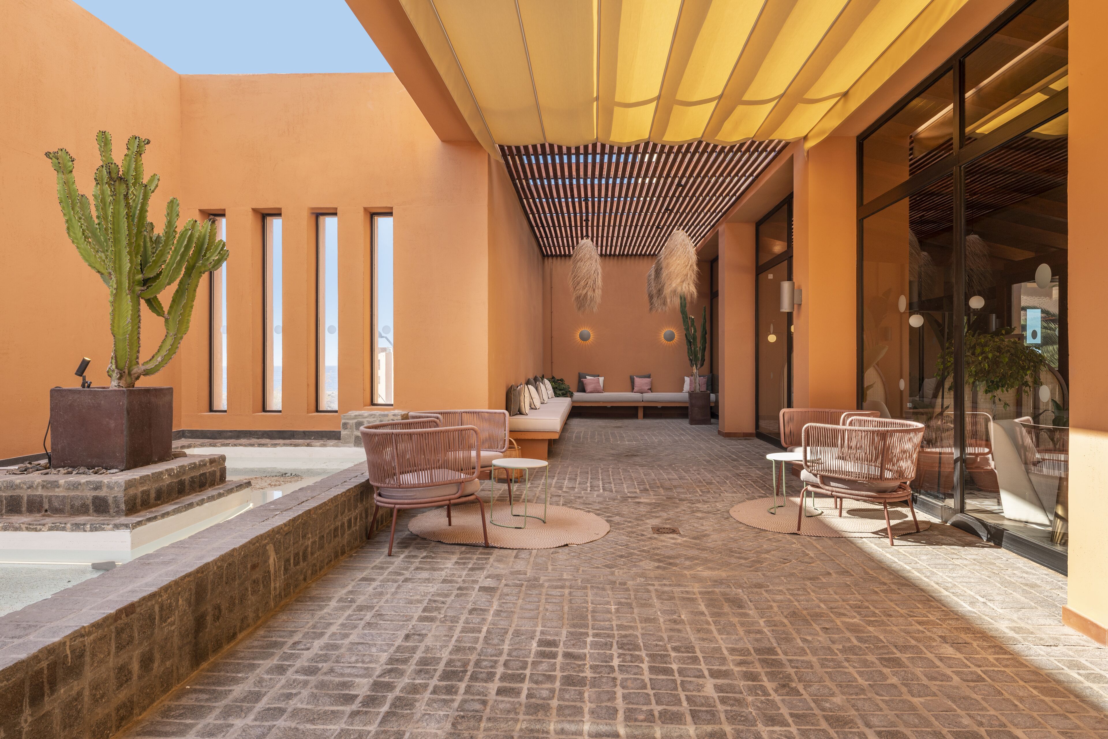 A courtyard with a cactus, seating area, and outdoor furniture.