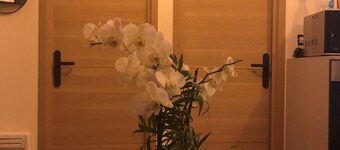 Maison Individuelle Cosy