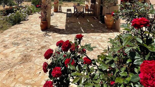 Un espace extérieur aménagé en terrasse, avec un sol en pierre, une pergola et des plantes en pot.