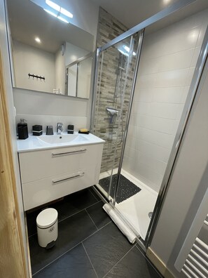 Shower, hair dryer
