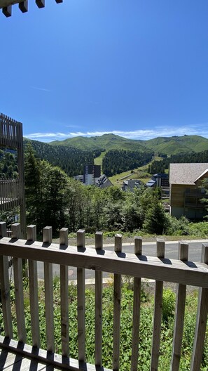 Terrain de l’hébergement 