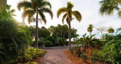 U113 - Twisted Palm