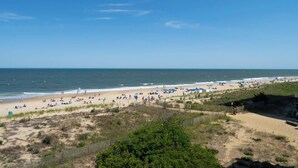 A beach with people, umbrellas, and a fence. - Oceana 1-Upgraded 2 Bedroom Ocean Front Oceana Condo with Outdoor Pool! (Ocean City)