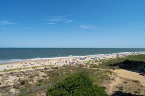 On the beach