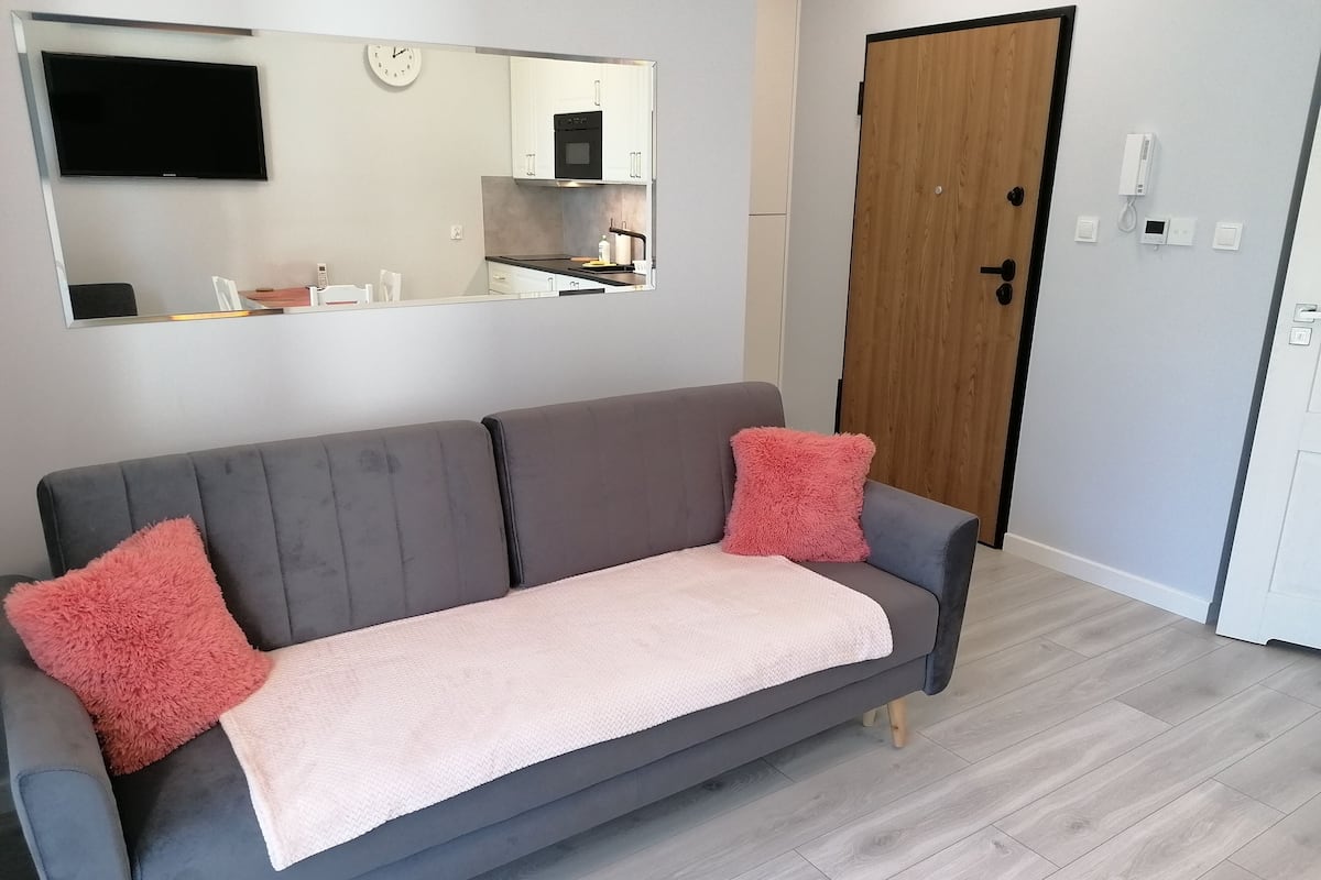 A grey sofa with a pink throw blanket and two pink pillows, a wooden door, and a white wall with a clock and a flat-screen TV mounted above a kitchen area.
