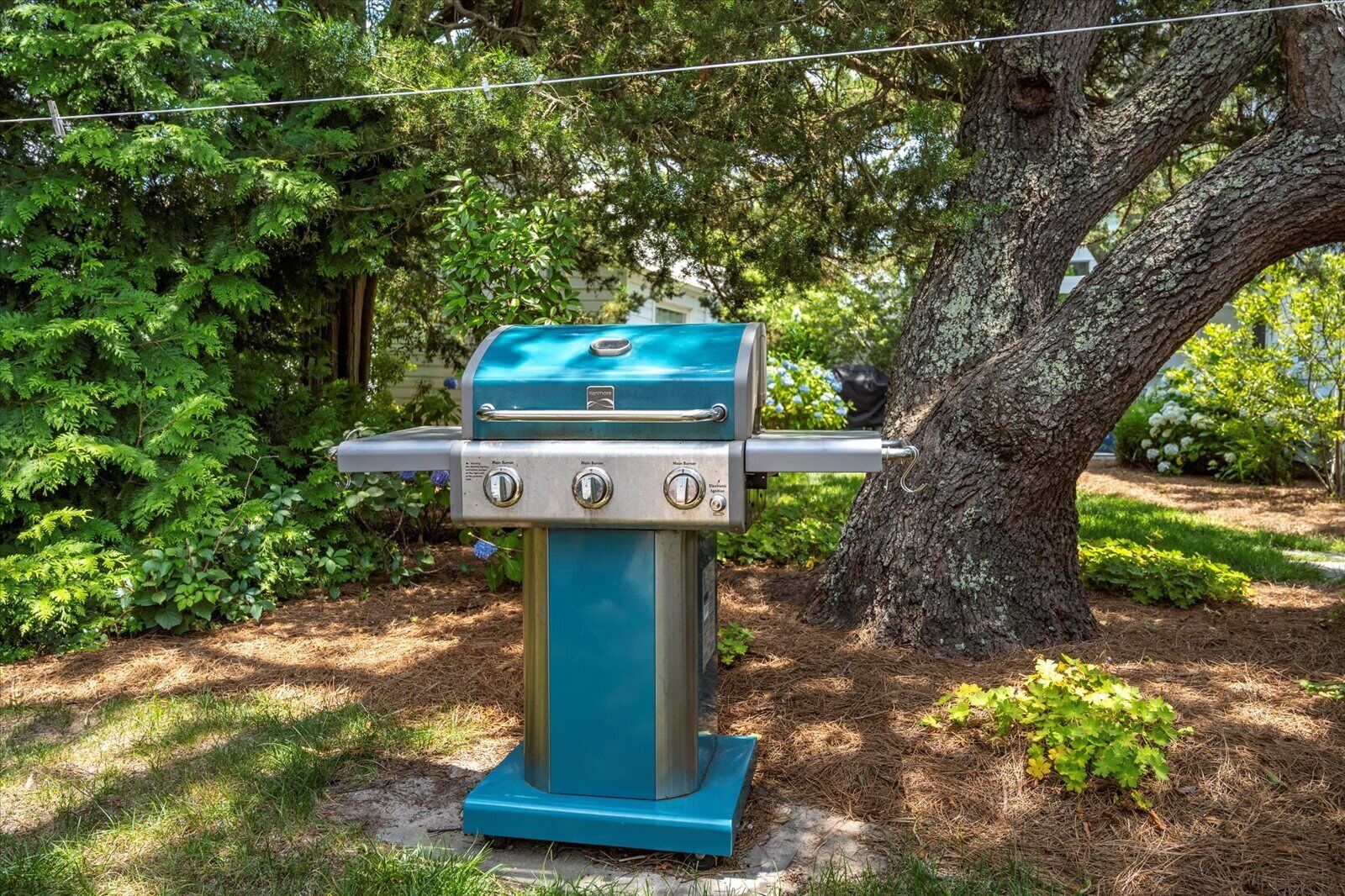A portable gas grill in a garden setting.