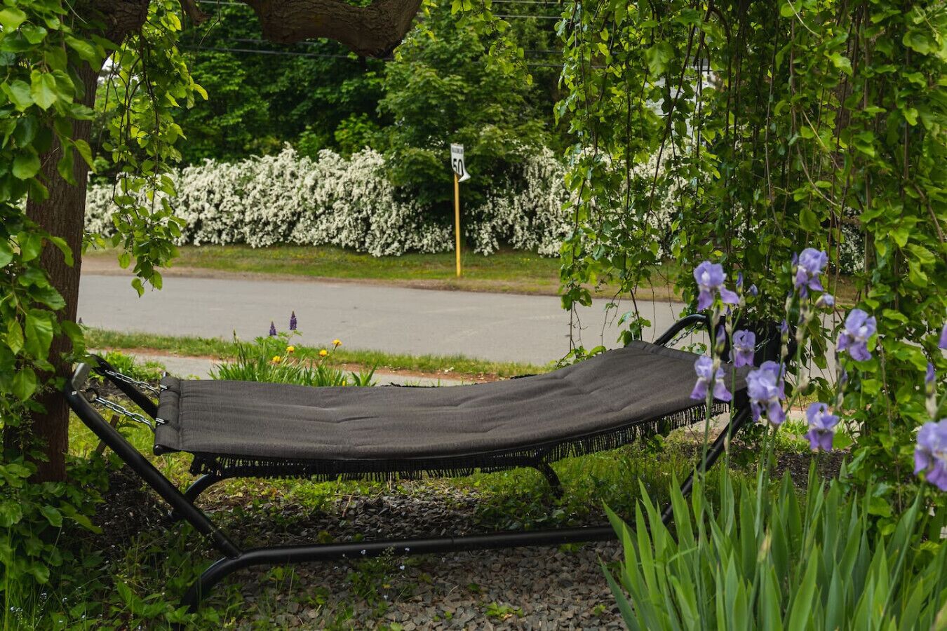 Un jardin avec un banc, des arbustes à fleurs blanches et des fleurs violettes.