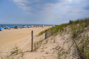 In Strandnähe, Liegestühle, Strandtücher