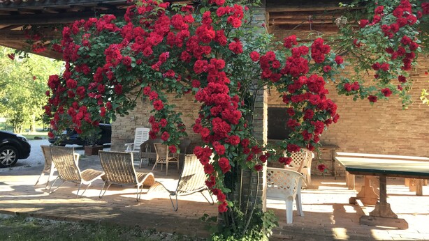 A rustic outdoor seating area with wicker chairs and a wooden table, surrounded by a brick building with a tiled roof and red flowering vines.