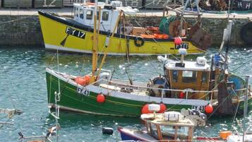 A harbor with several boats docked, including a yellow and green boat with the number FY17 and a green boat with the number FY43.