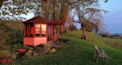 Appartement de vacances Bottighofen pour 1 - 2 personnes avec 1 chambre Ă coucher - Appartement de v