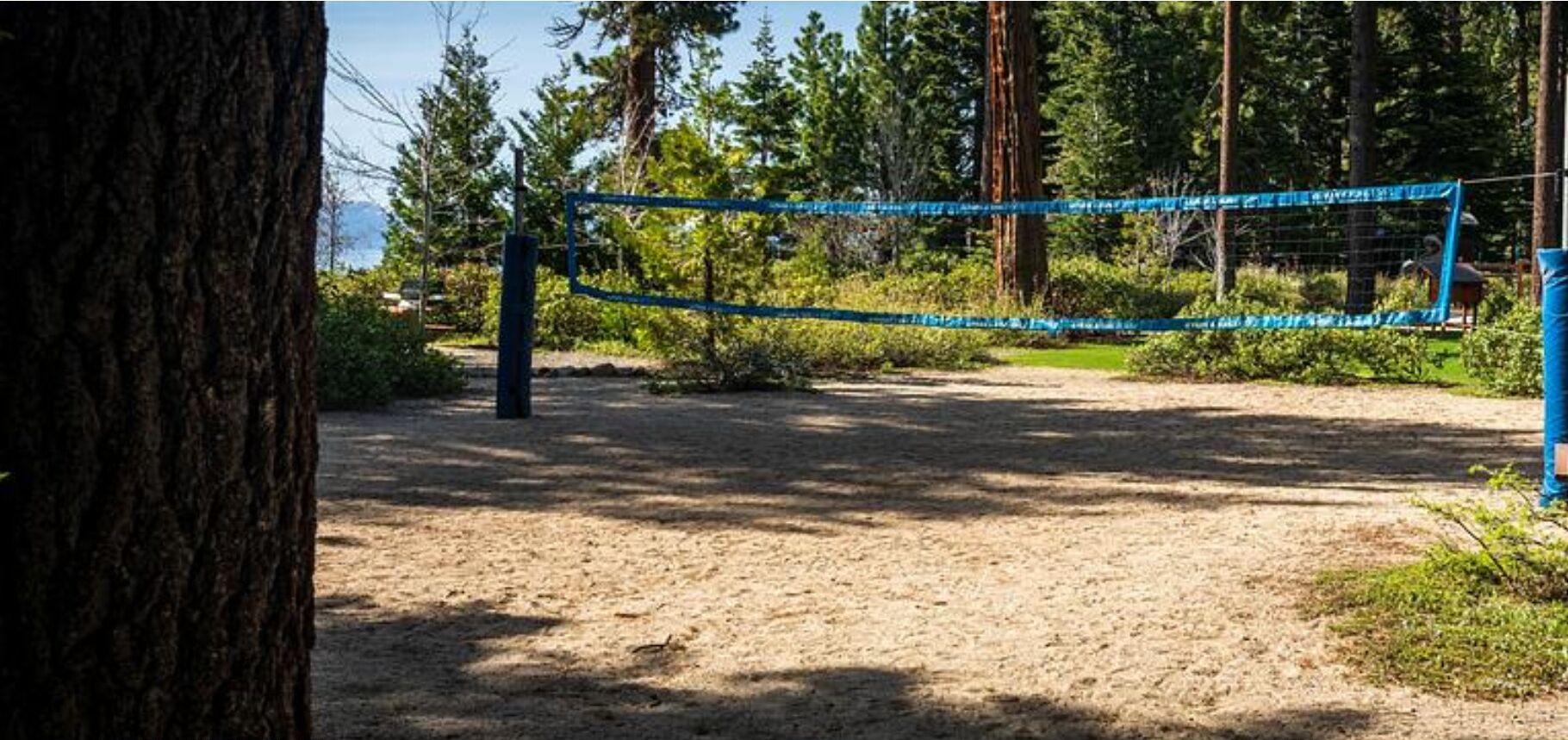 Un filet de volley-ball installé dans une zone sablonneuse, avec des arbres et un ciel dégagé.