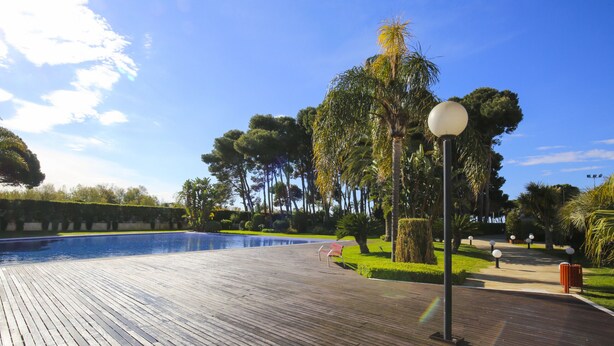 Eine Holzterrasse mit Pool, umgeben von Bäumen und blauem Himmel.