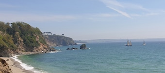 Robin Hill