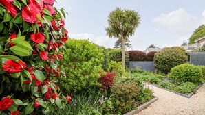 A garden with a variety of plants and a pathway. - Robin Hill (St Austell)