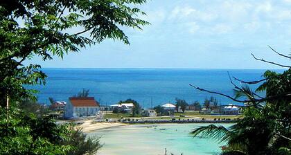 Caribbean and Atlantic Ocean Views / Near Twin Cove Beach / Garden Oasis Vibe.